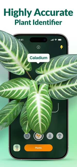 Screenshot of Plantum - AI Plant Identifier
