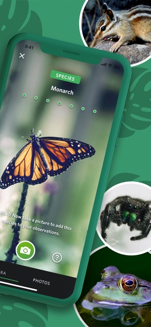 Screenshot of Seek by iNaturalist