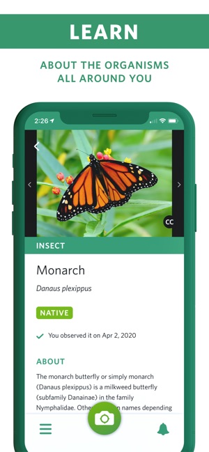 Screenshot of Seek by iNaturalist