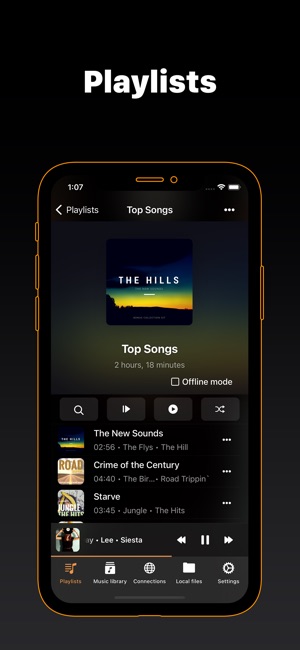 Screenshot of Flacbox: Hi-Res Music Player