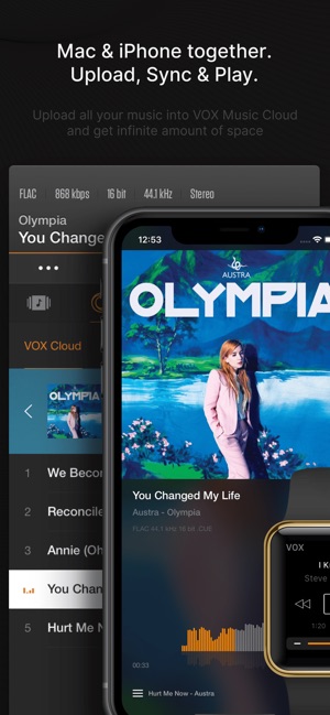 Screenshot of VOX – MP3 & FLAC Music Player
