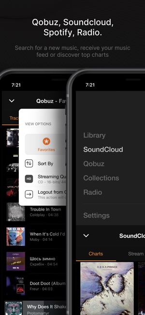 Screenshot of VOX – MP3 & FLAC Music Player