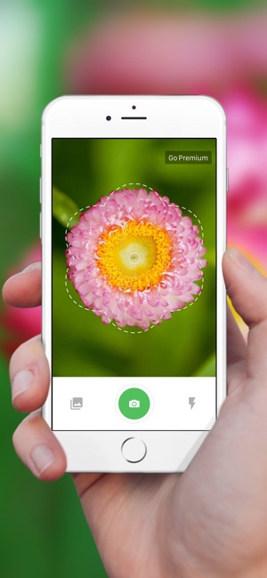 Screenshot of Plant Identification ++