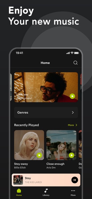Screenshot of Offline Music Player & Spotube
