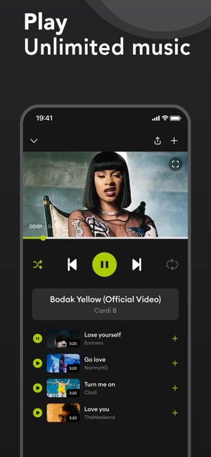 Screenshot of Offline Music Player & Spotube