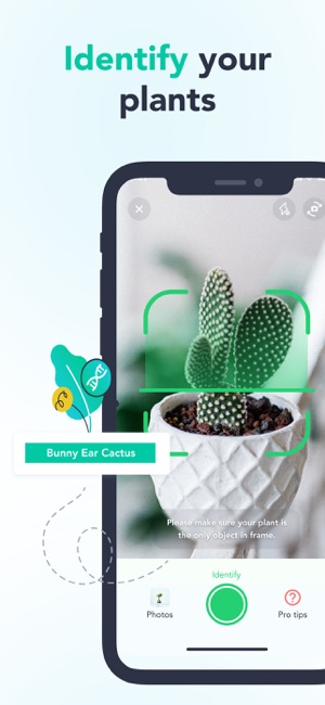 Screenshot of Flora - Plant ID & Diagnosis