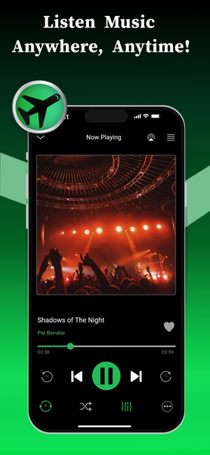 Screenshot of Offline Music Player