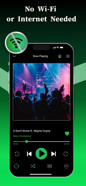 Screenshot of Offline Music Player