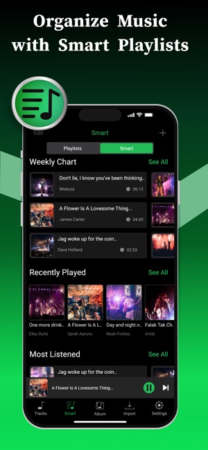 Screenshot of Offline Music Player
