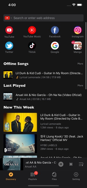Screenshot of Offline:Music Player & Browser