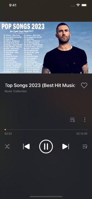 Screenshot of Offline:Music Player & Browser