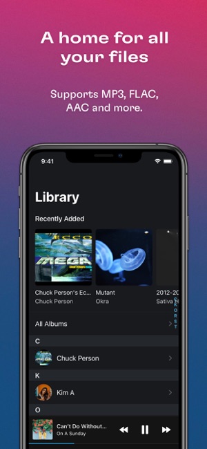 Screenshot of Doppler MP3 & FLAC Player