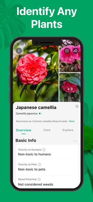 Screenshot of PictureThis - Plant Identifier
