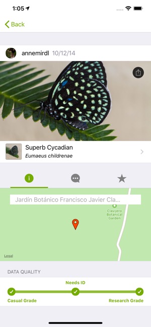 Screenshot of iNaturalist