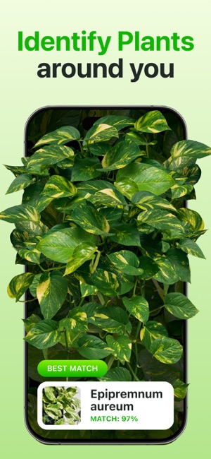 Screenshot of Plant Identifier & Care App