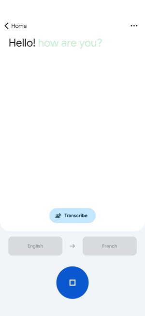 Screenshot of Google Translate