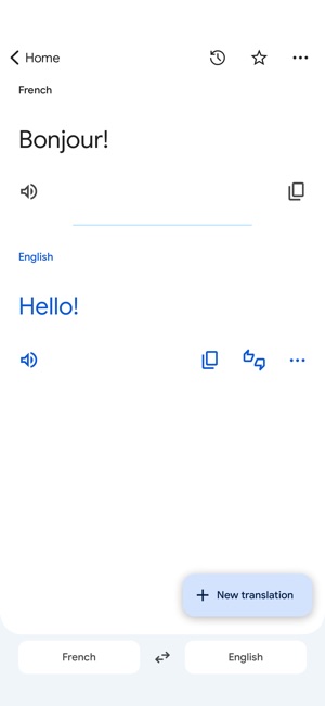 Screenshot of Google Translate