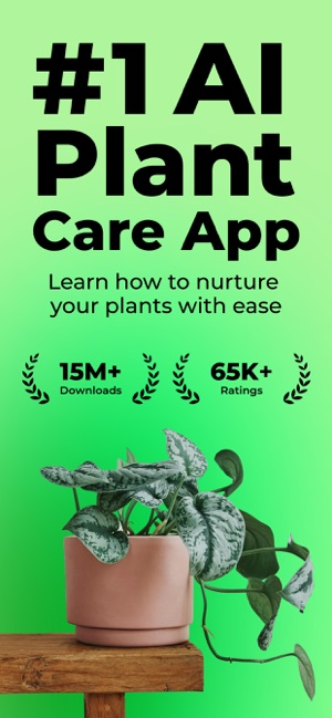 Screenshot of PlantSnap - Plant Identifier