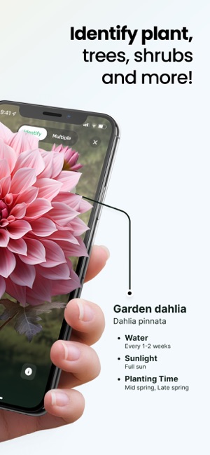 Screenshot of Plant App: Plant Identifier