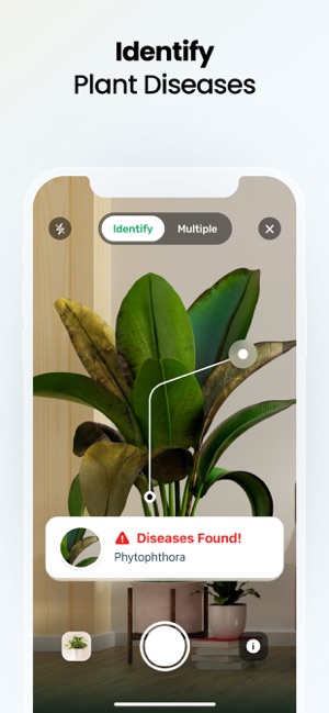 Screenshot of Plant App: Plant Identifier