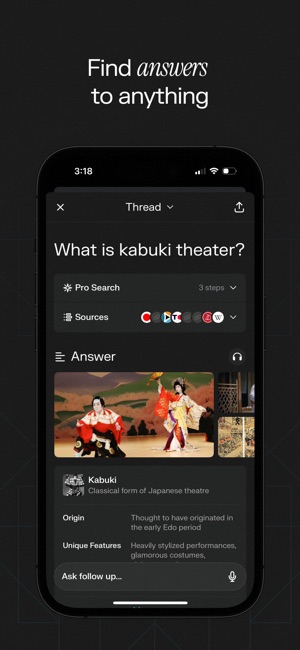 Screenshot of Perplexity - Ask Anything