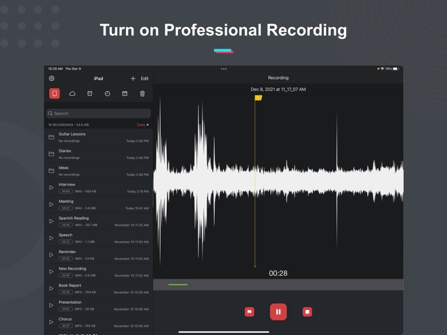 Screenshot of Voice Recorder & Notes Pro