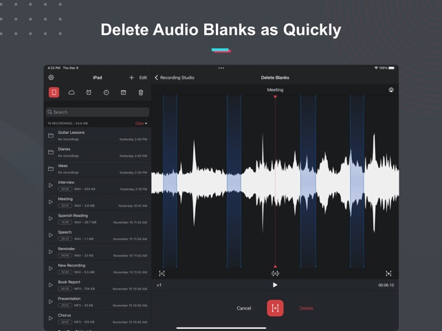 Screenshot of Voice Recorder & Notes Pro
