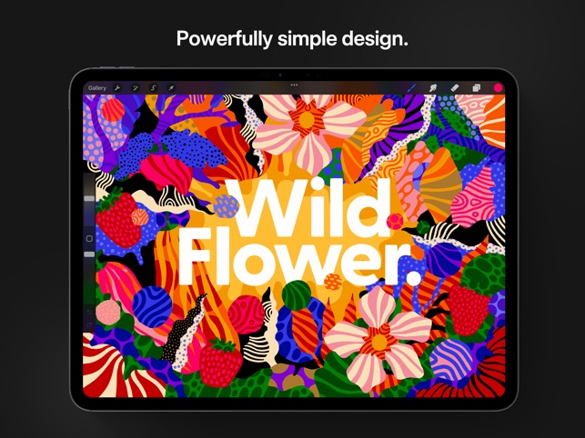 Screenshot of Procreate