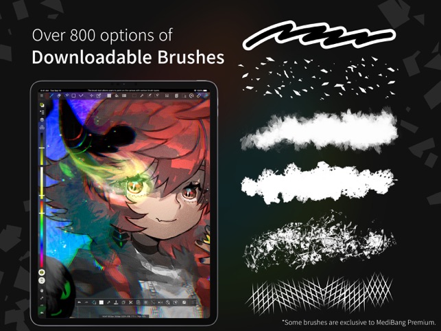 Screenshot of MediBang Paint for iPad