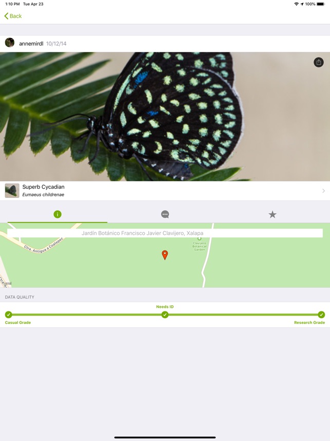 Screenshot of iNaturalist