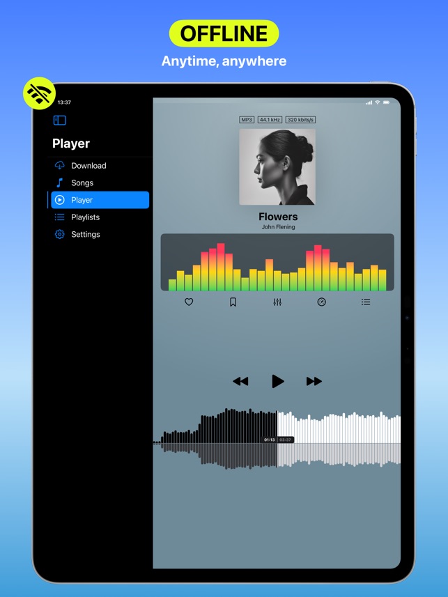 Screenshot of Anywhere Offline Music Player