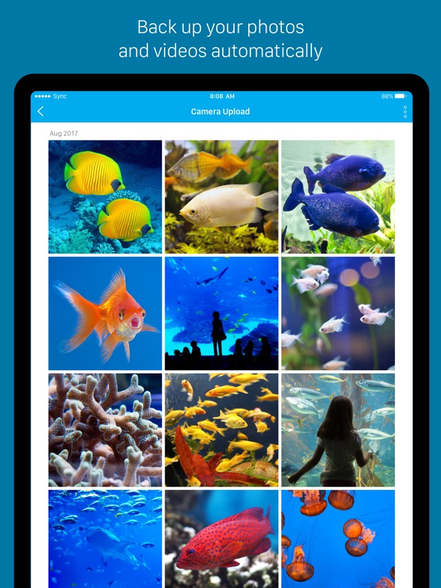 Screenshot of Sync - Secure cloud storage