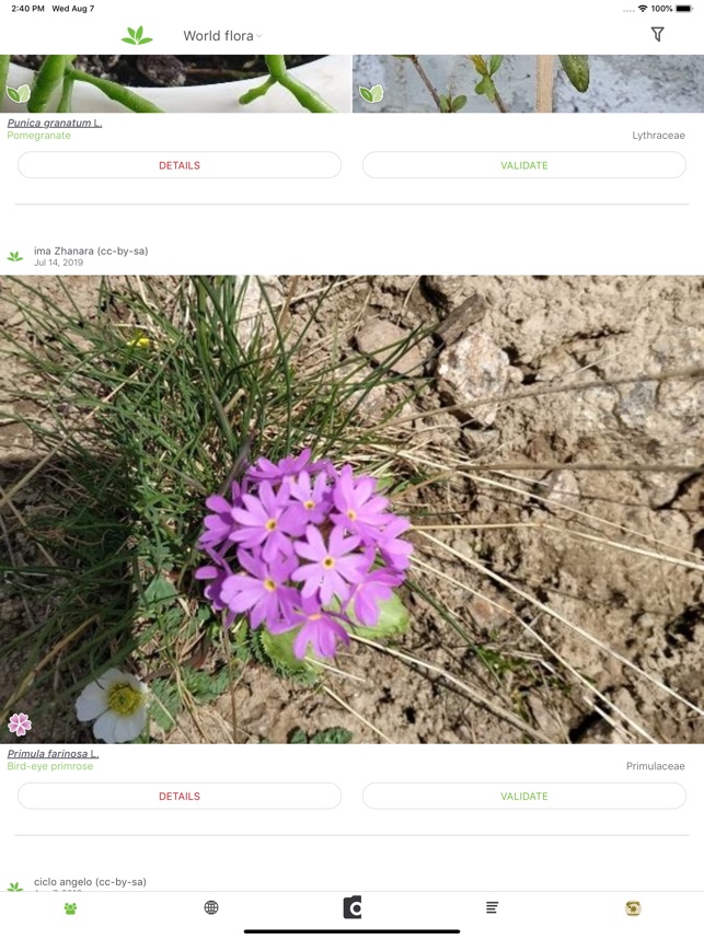 Screenshot of PlantNet